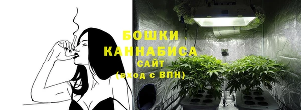 ГАЛЛЮЦИНОГЕННЫЕ ГРИБЫ Абдулино