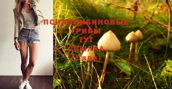 ГАЛЛЮЦИНОГЕННЫЕ ГРИБЫ Абдулино